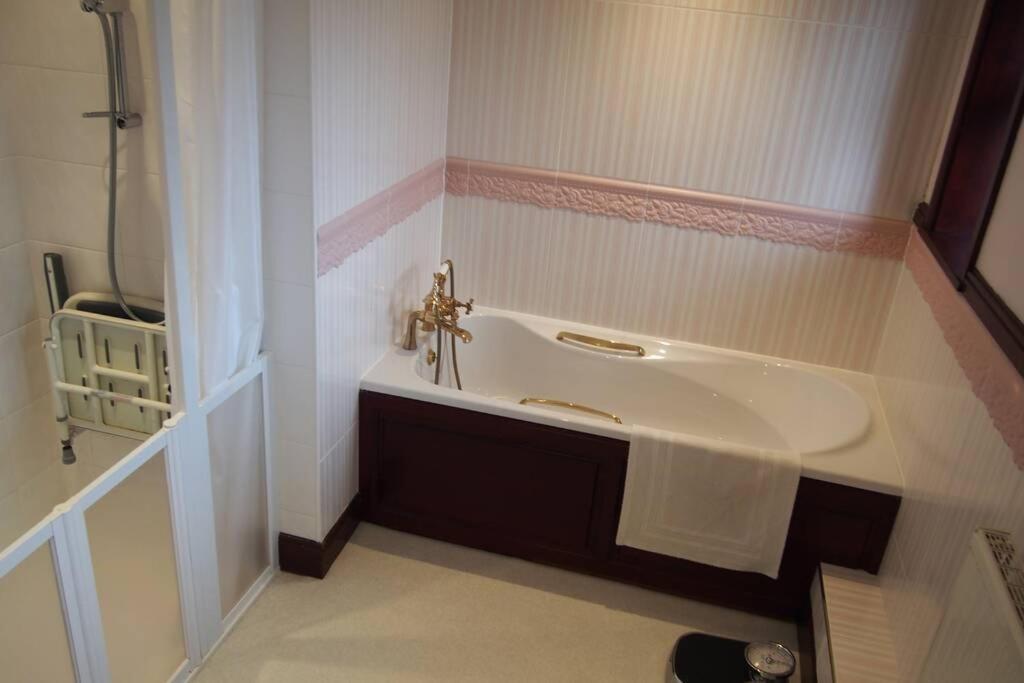 Hectors House comfortable 4 bed house in mature gardens Yelverton Buitenkant foto