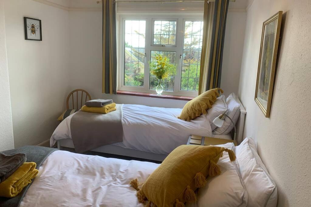 Hectors House comfortable 4 bed house in mature gardens Yelverton Buitenkant foto