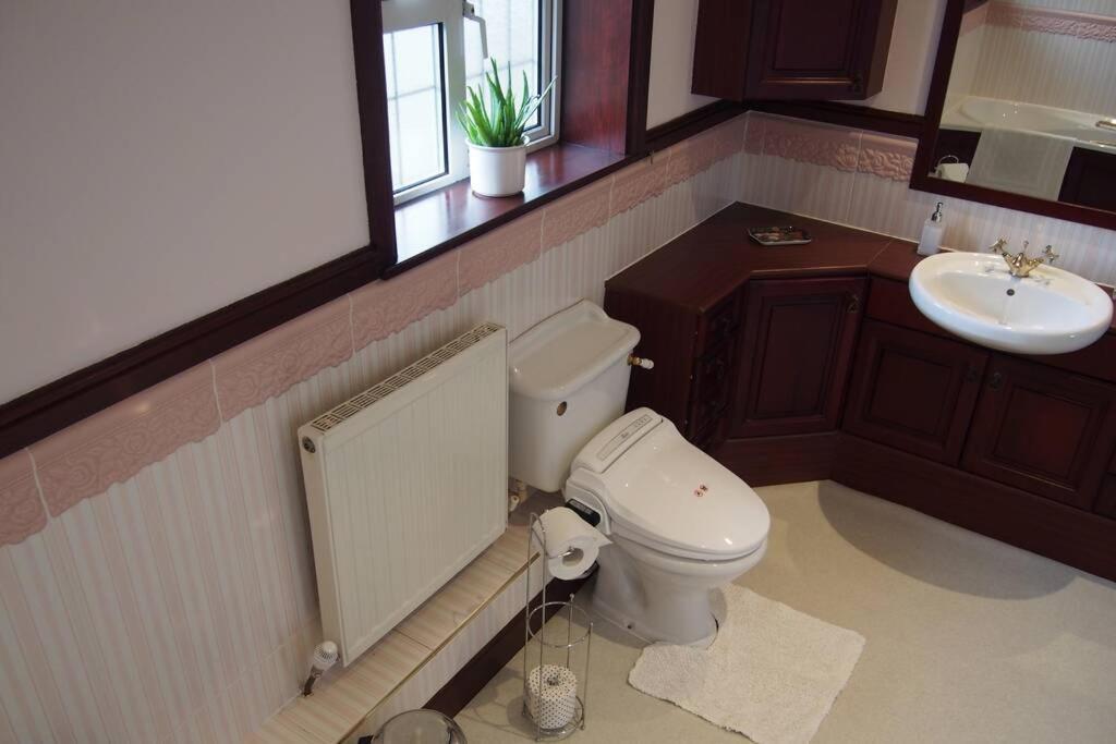 Hectors House comfortable 4 bed house in mature gardens Yelverton Buitenkant foto