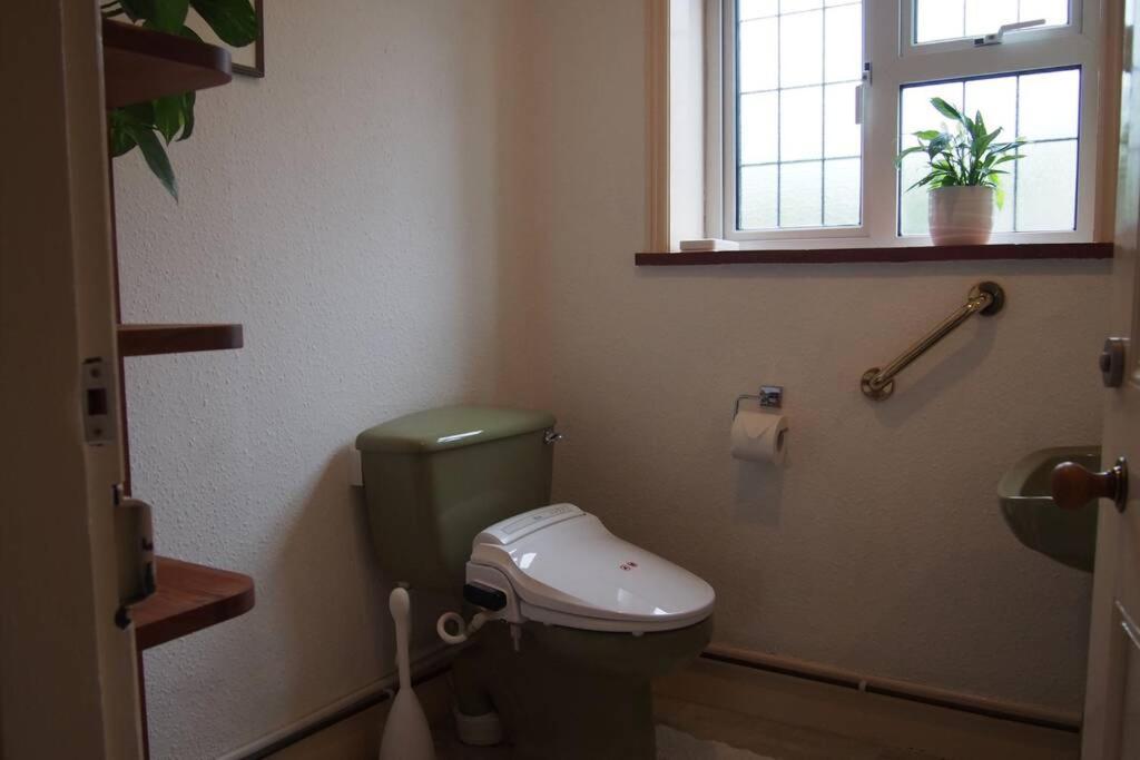 Hectors House comfortable 4 bed house in mature gardens Yelverton Buitenkant foto