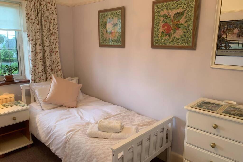 Hectors House comfortable 4 bed house in mature gardens Yelverton Buitenkant foto